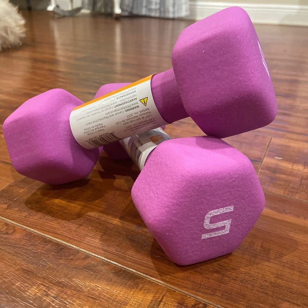 New 5 pound dumbbells